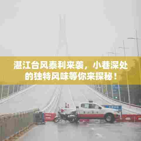 湛江台风泰利来袭，小巷深处美食成避风港湾！