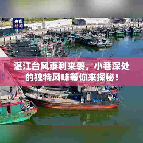 湛江台风泰利来袭,小巷深处美食成避风港湾!