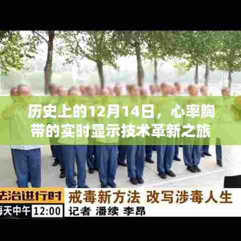 心率胸带实时显示技术革新之旅,历史回顾与未来展望(12月14日篇)
