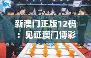 新澳门正版12码：见证澳门博彩文化的创新与传统的完美融合