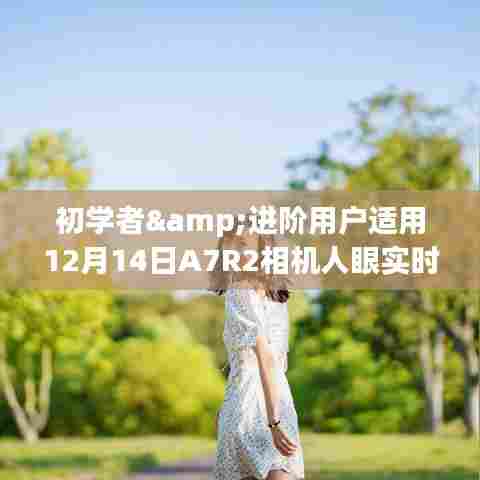 初学者与进阶用户适用的A7R2相机人眼实时对焦设置指南(12月14日版)