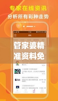 管家婆精准资料免费大全香港,理论分析解析说明_T4.106