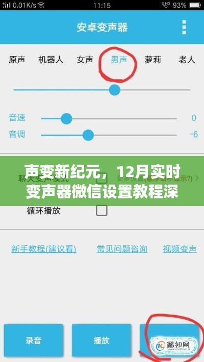 声变新纪元,深度评测与介绍微信实时变声器设置教程