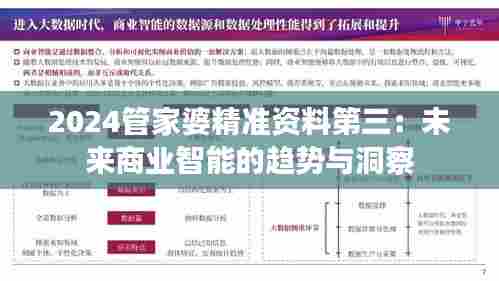 2024管家婆精准资料第三:未来商业智能的趋势与洞察