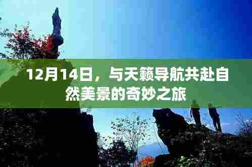 12月14日，与天籁导航共探自然美景的奇幻之旅