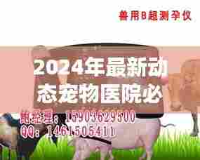 2024年宠物医院必备神器,B超机器实时报价及专享优惠