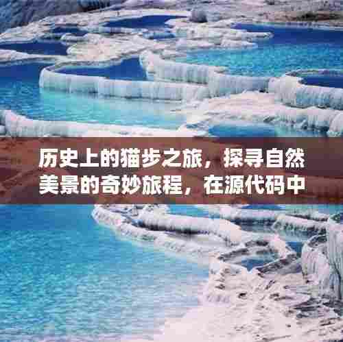 探寻猫步之旅的历史与自然美景，源代码中的心灵宁静之旅