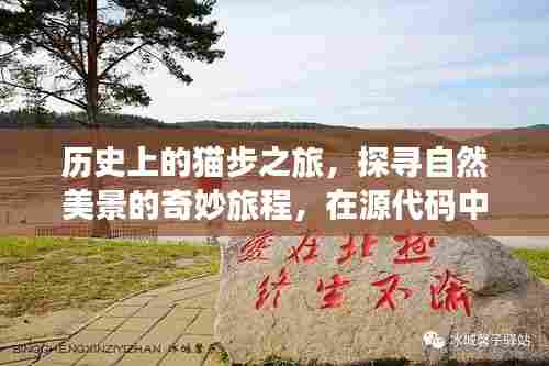 探寻猫步之旅的历史与自然美景,源代码中的心灵宁静之旅