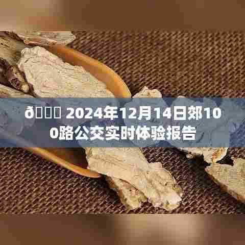 2024年12月14日郊100路公交车实时体验报告