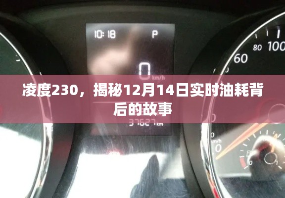 凌度230实时油耗揭秘,探寻背后的故事
