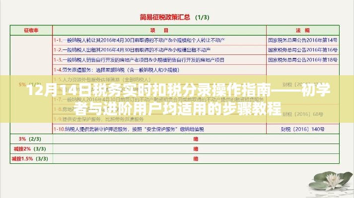 12月14日税务实时扣税分录操作指南,适合初学者与进阶用户的步骤教程