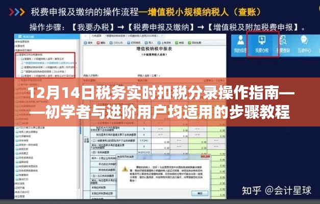 12月14日税务实时扣税分录操作指南,适合初学者与进阶用户的步骤教程