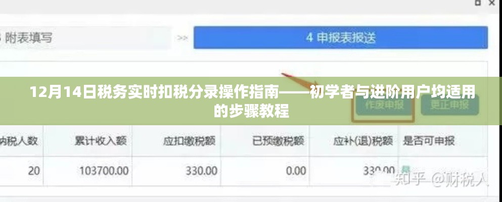 12月14日税务实时扣税分录操作指南,适合初学者与进阶用户的步骤教程