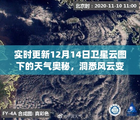 12月14日卫星云图下的天气奥秘,风云变幻之美实时解析
