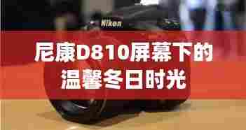 尼康D810下的冬日温馨时光