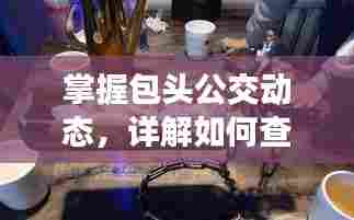 包头公交48路实时信息查询详解,掌握包头公交动态,轻松出行无忧