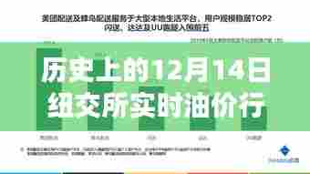 历史上的纽交所油价行情深度评测，聚焦12月14日实时油价走势