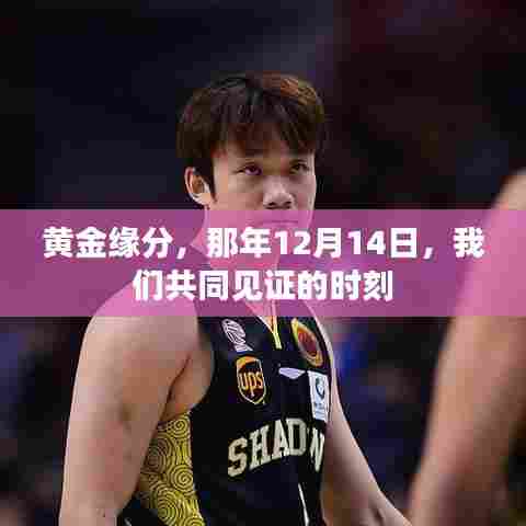 黄金缘分,那年12月14日的共同见证时刻