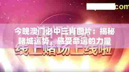 今晚澳门必中三肖图片：揭秘赌城运势，感受命运的力量