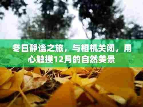 用心触摸自然美景,冬日静谧之旅的十二月篇章