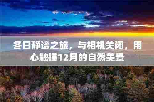 用心触摸自然美景,冬日静谧之旅的十二月篇章