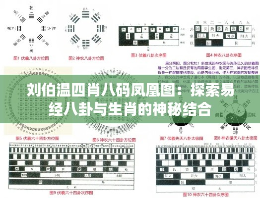 刘伯温四肖八码凤凰图:探索易经八卦与生肖的神秘结合