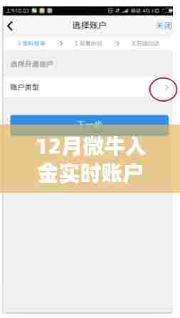 12月微牛入金实时验证,开启投资新旅程