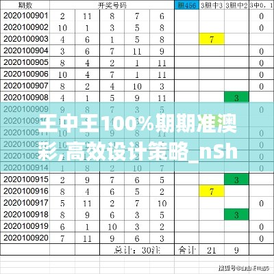 王中王100%期期准澳彩,高效设计策略_nShop3.456