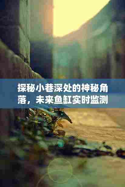 探秘神秘小巷角落,开启未来鱼缸实时监测之旅