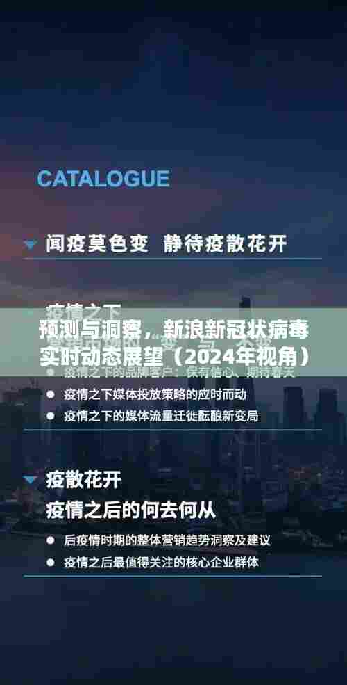 新浪新冠状病毒实时动态展望,预测与洞察(2024年视角分析)