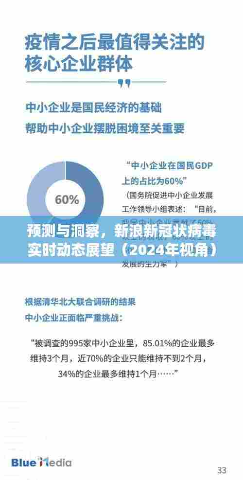 新浪新冠状病毒实时动态展望,预测与洞察(2024年视角分析)