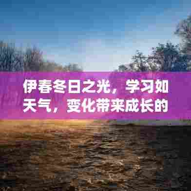伊春冬日之光,学习中的成长力量与天气的变化同步前行