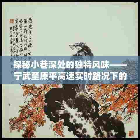 宁武至原平高速路况下的惊喜小巷之旅,独特风味探秘之旅