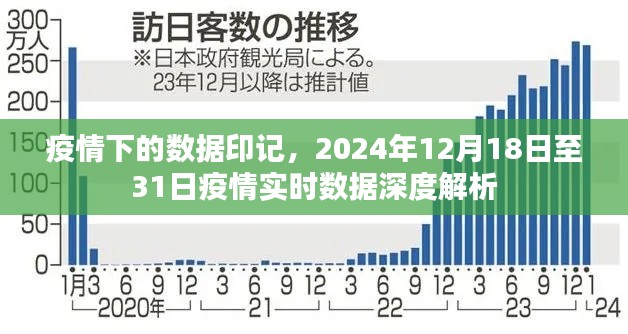 疫情下的数据印记,深度解析2024年12月疫情实时数据报告
