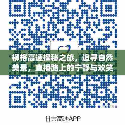 柳格高速探秘之旅,追寻自然美景,直播路上的宁静与欢笑之旅