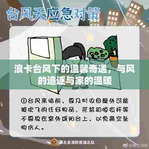 浪卡台风下的温馨奇遇,追逐与家的温暖之旅