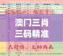 澳门三肖三码精准100%新华字典354期｜收益成语分析落实