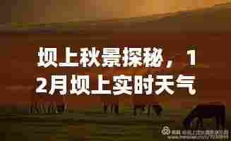 坝上秋景探秘，12月坝上实时天气详解与旅行指南