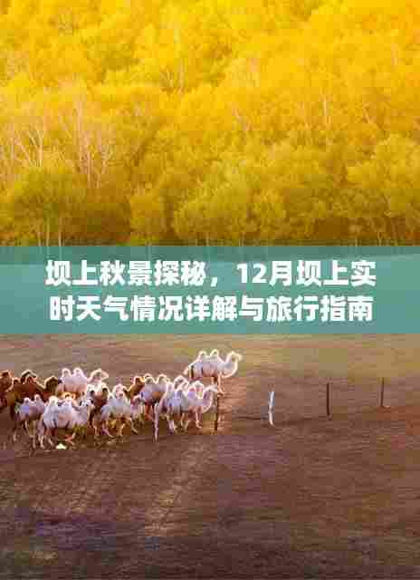 坝上秋景探秘,12月坝上实时天气详解与旅行指南