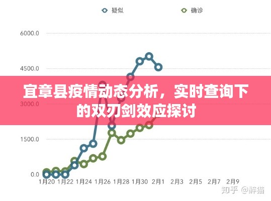 宜章县疫情动态分析与双刃剑效应探讨,实时查询下的挑战与机遇