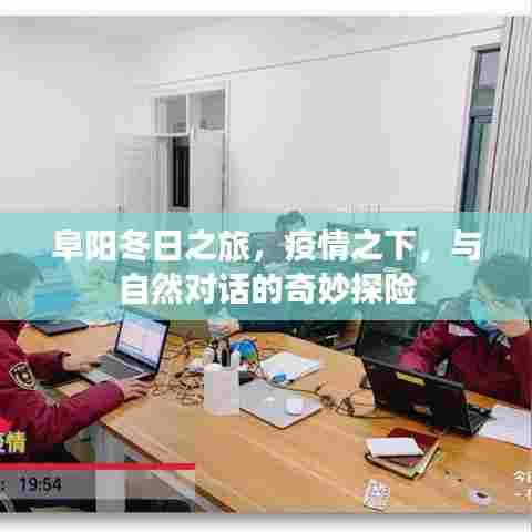 阜阳冬日探险之旅,疫情之下的自然对话奇妙之旅