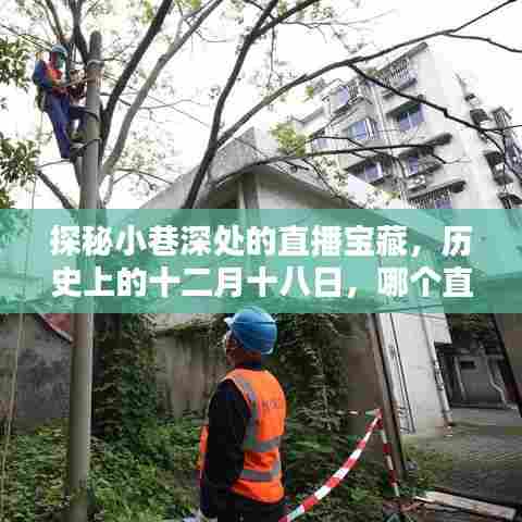 探秘小巷深处的直播宝藏,揭秘十二月十八日直播平台的选择之道