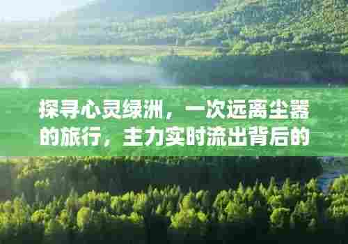 探寻心灵绿洲，远离尘嚣探寻宁静之美的旅行