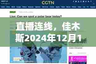 直播连线，佳木斯路上的温情时光——2024年12月18日纪实