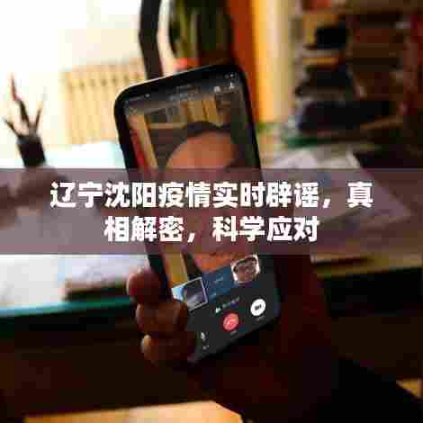 辽宁沈阳疫情真相解密，实时辟谣与科学应对