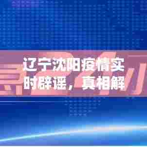 辽宁沈阳疫情真相解密,实时辟谣与科学应对