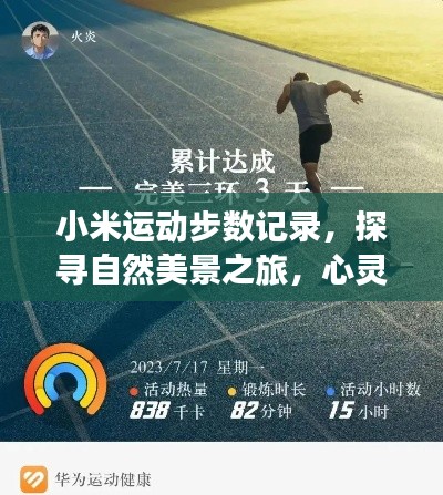 小米步数记录,自然之旅的心灵宁静之力