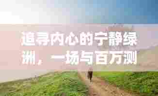 追寻心灵的宁静绿洲,百万测点自然美景之旅探索心灵之旅的宁静绿洲