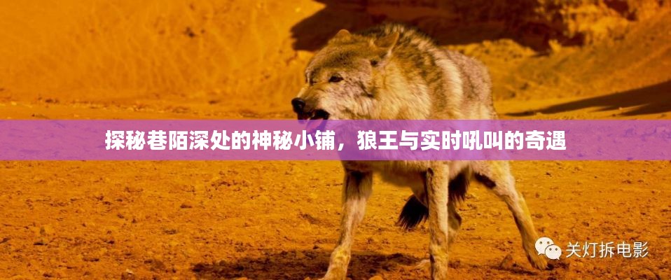 巷陌深处的神秘小铺,狼王奇遇与实时吼叫探秘
