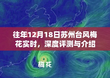 苏州台风梅花实时深度评测与介绍,历年12月18日台风影响分析